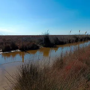  Apartamento Rincon Del Delta, En El Delta Del Ebro, Playa Trabucador Amposta, Tarragona España